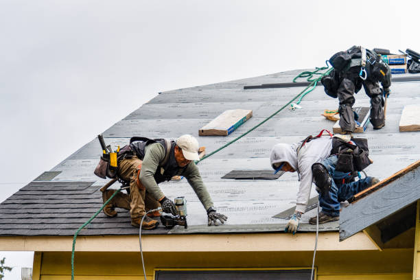 Professional Emergency Roof Repair technician working in Bergen, NY